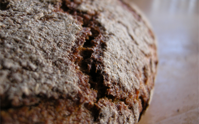 Rye Bread 640x400.png