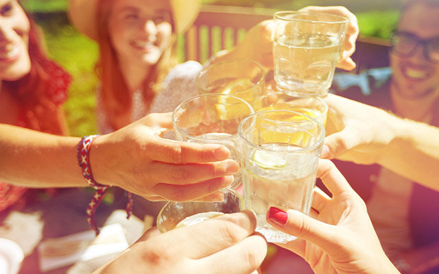 Summer Garden Party Friends.jpg