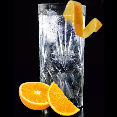 perfect gin and tonic