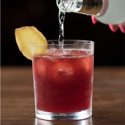 Norse Gin cocktail bar