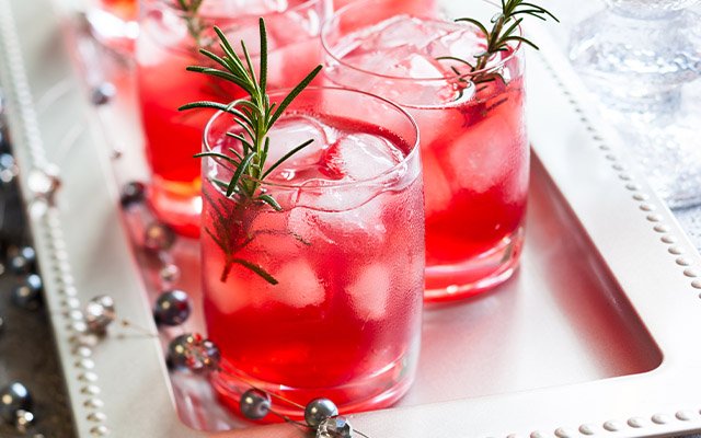 Festive G&T with sloe gin