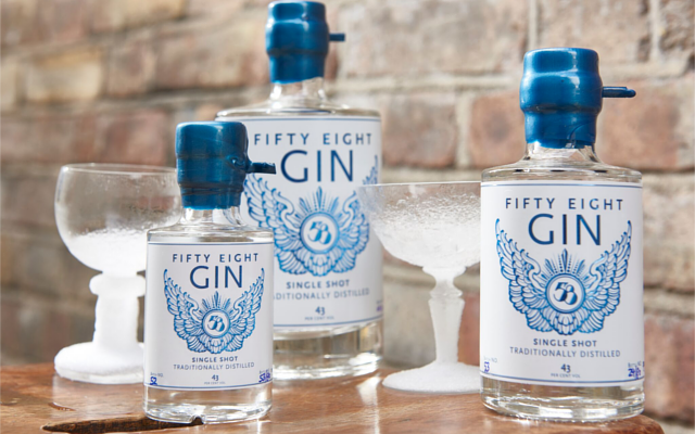 58 Gin various bottle sizes