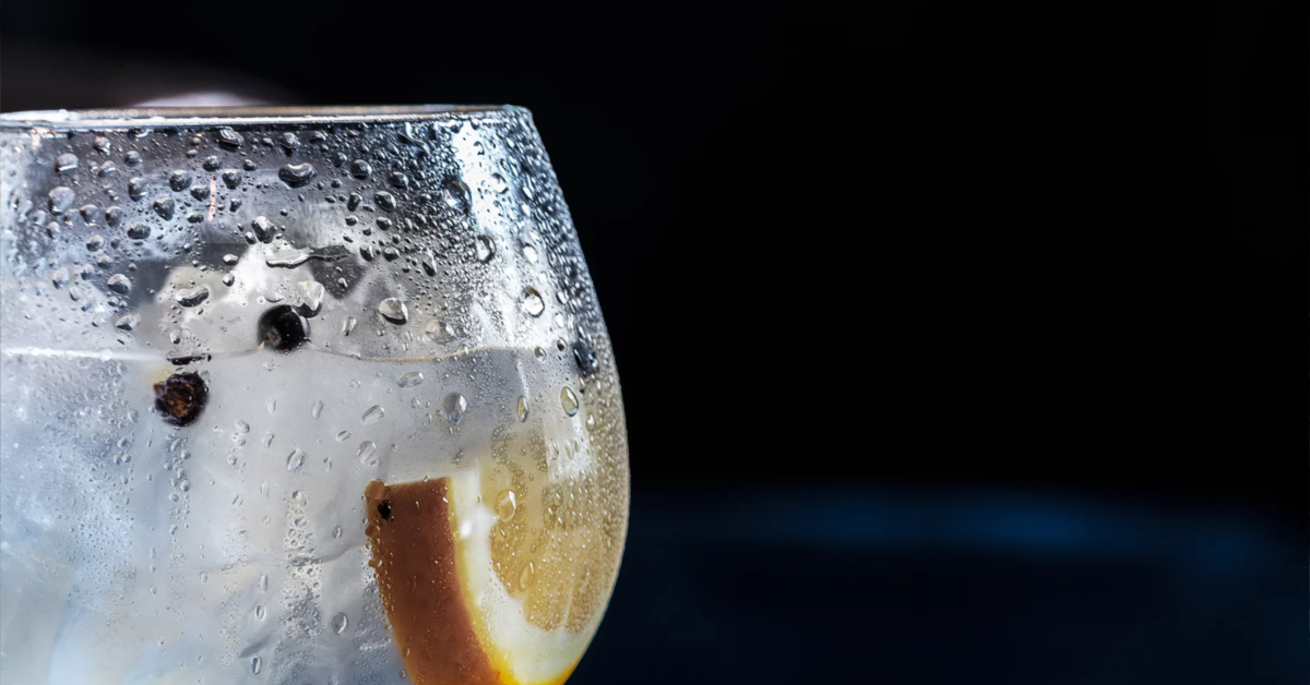 Gin Tonic Orange Juniper Berries Copa