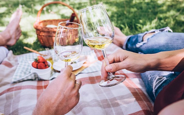Picnic conversation
