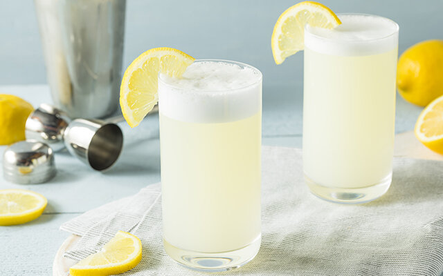 The Gin Fizz - get the recipe >>