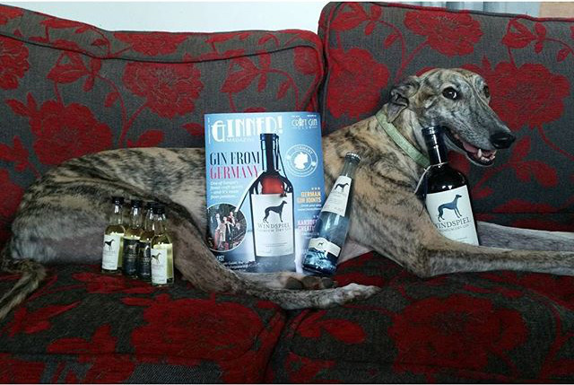 windspiel gin box magazine dog