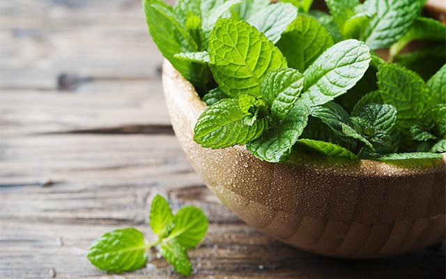 Fresh mint