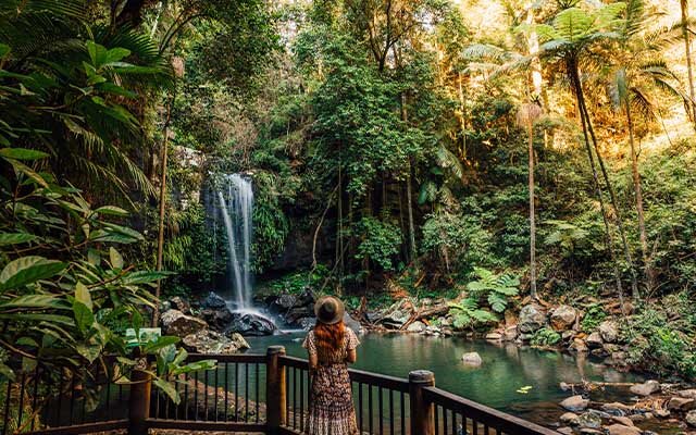 Curtis Falls, Tamborine National Park, Gold Coast