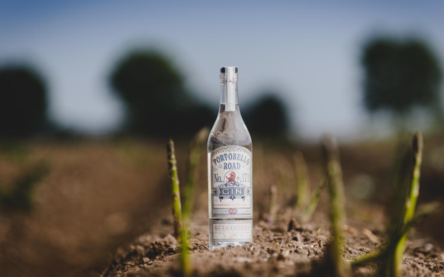 burleighs gin