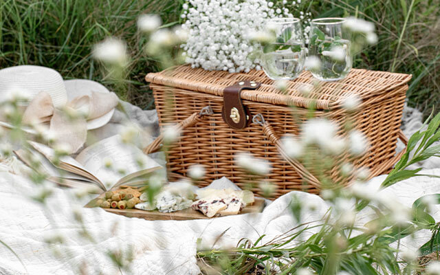 Picnic basket in the grass.jpg