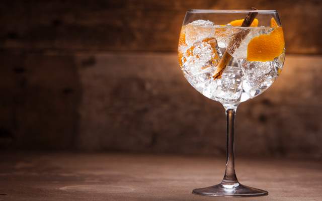 orange+and+cinnamon+gin+and_tonic.png
