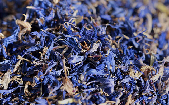 Provençal botanicals