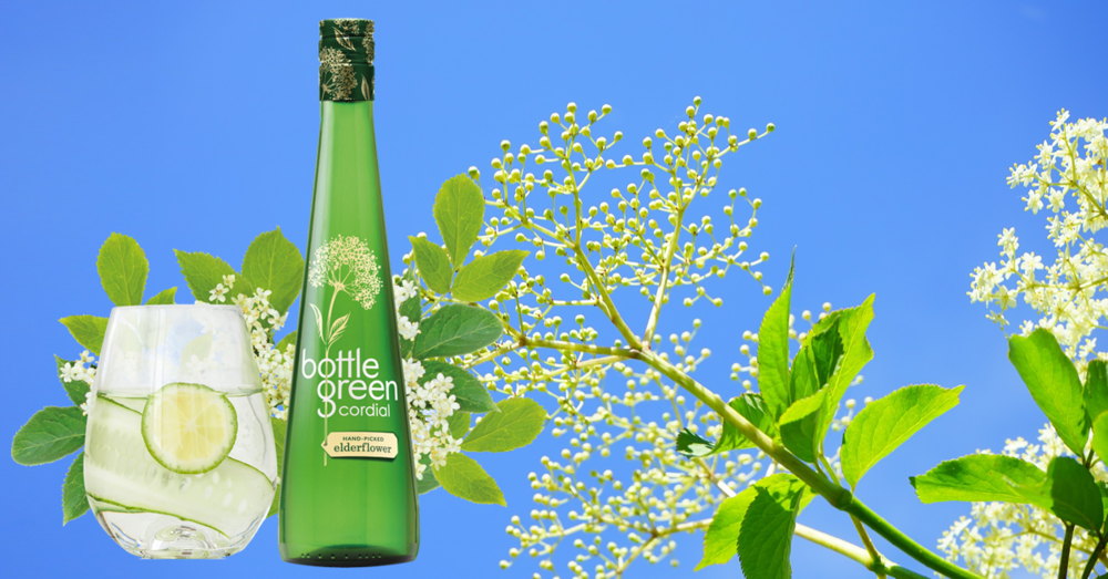 bottlegreen+elderflower.png