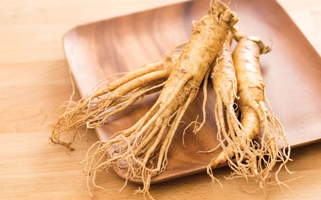 Ginseng+root