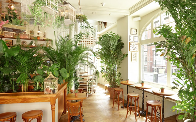 mr+foggs+house+of+botanicals+bar.png