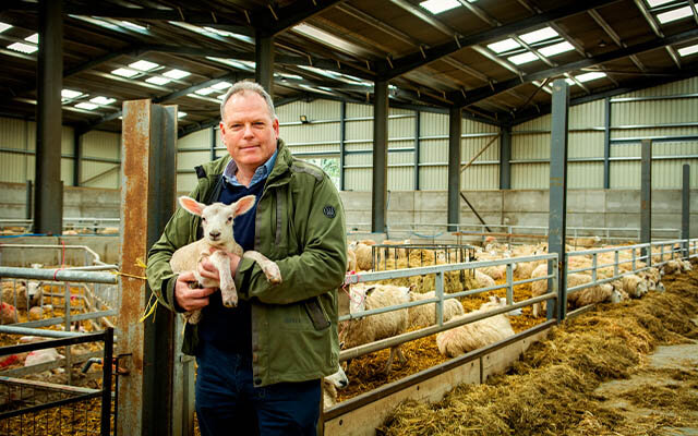 Heartsease Farm.jpg