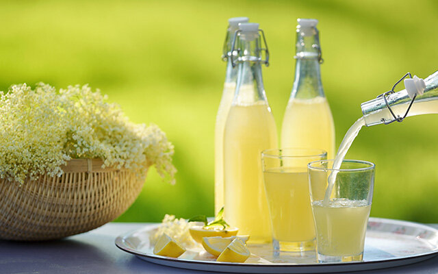 HOMEMADE ELDERFLOWER GIN.jpg