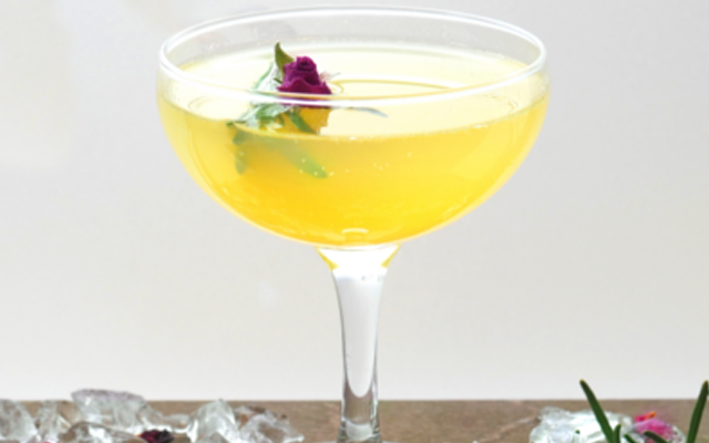 +the+bees+knees+gin+cocktail.png