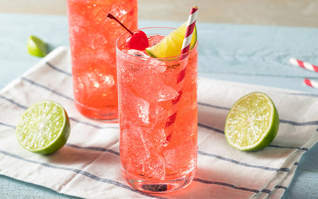 Spiced Plum Gin serving suggestion