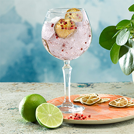perfect-gin-tonic.jpg