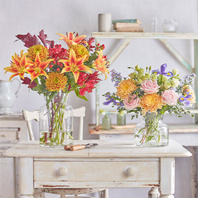 Freddie’s Flowers - FREE starter set of vases worth £45!