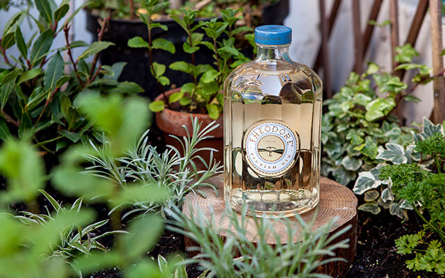 Theodore Pictish Gin
