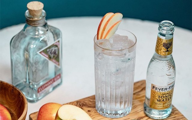 Elephant Gin and tonic