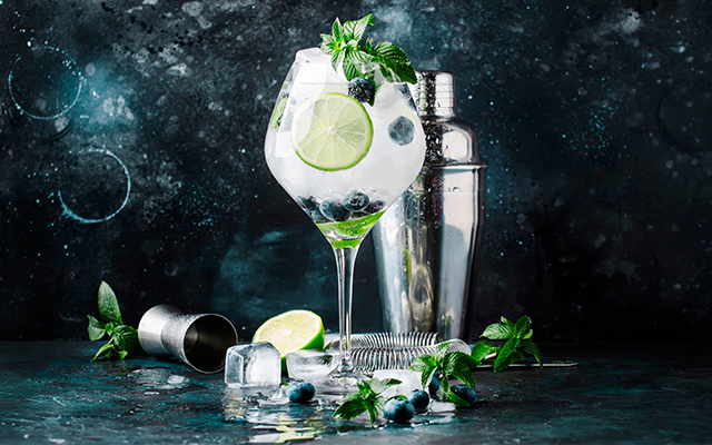 Blueberry gin and tonic garnished with blueberries, mint and lime