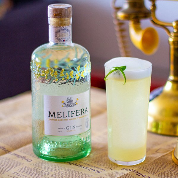 Gin Fizz Cocktail Recipe
