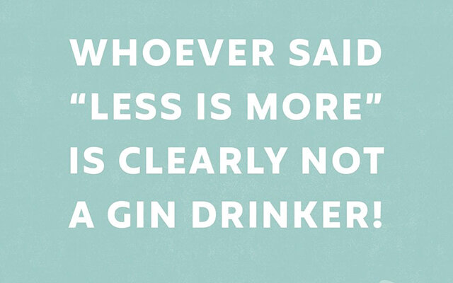 Whoever said 'less is more' is clearly not a gin drinker!
