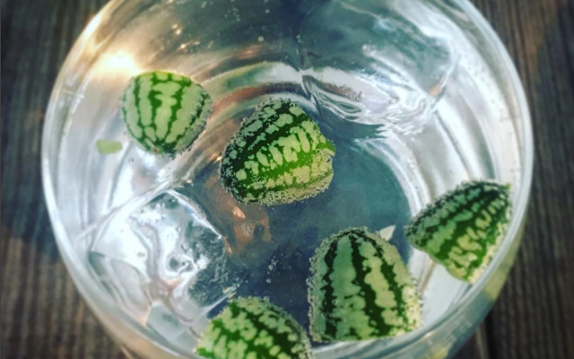 G&T garnish mini watermelon