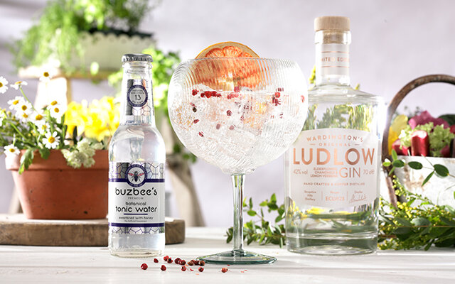 Perfect G&T SQ.jpg