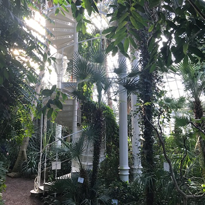 Palmenhaus – Scholosspark Schönbrunn