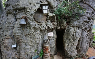 Baobab bar door