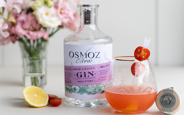 tomato-martini-gin-cocktail.jpg