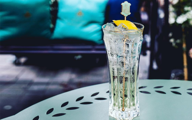 st germain elderflower liqueur.png