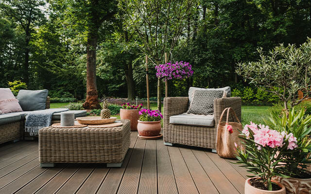 Summer Garden Party flowers and plants.jpg