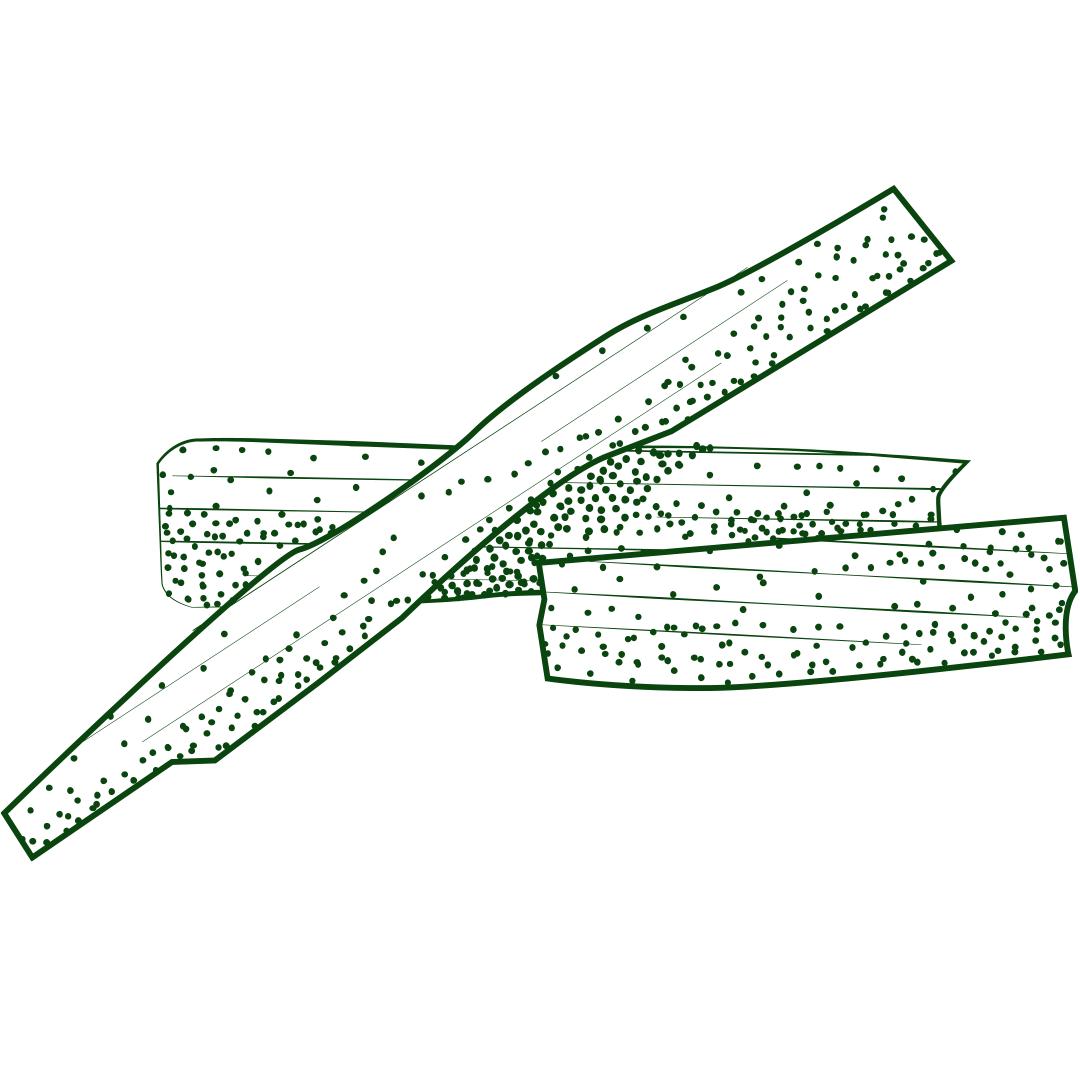 palo santo bqnch.png