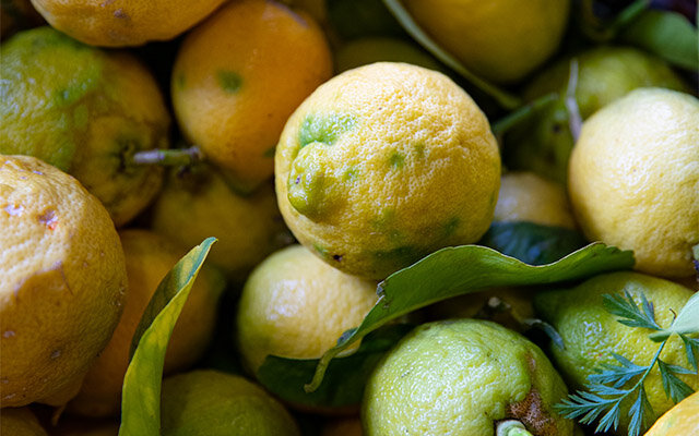 Monaco’s delicious lemons.