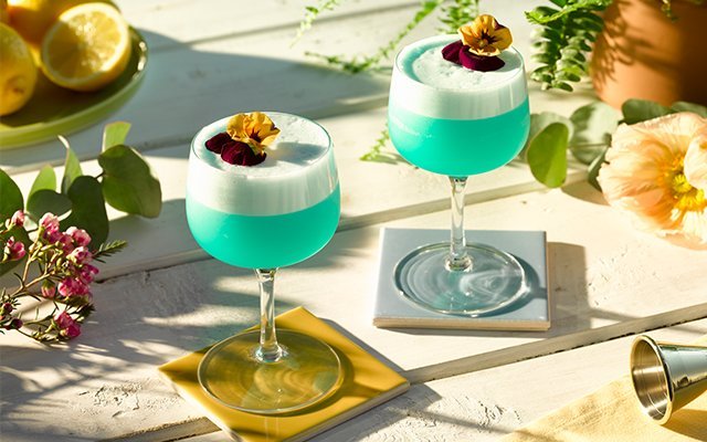 Elderflower Sour