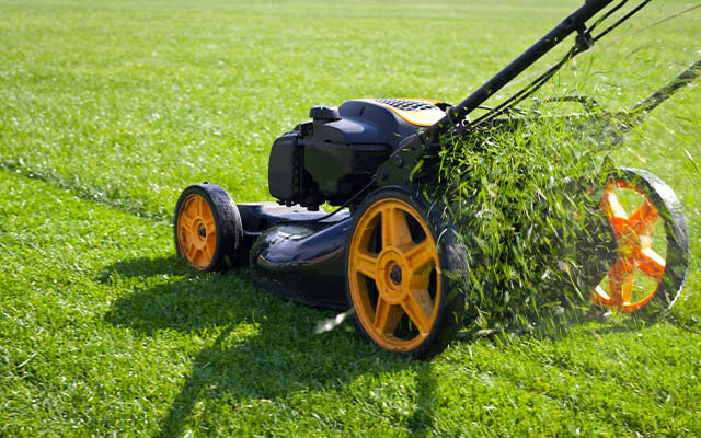 Father's Day lawn mower.jpg