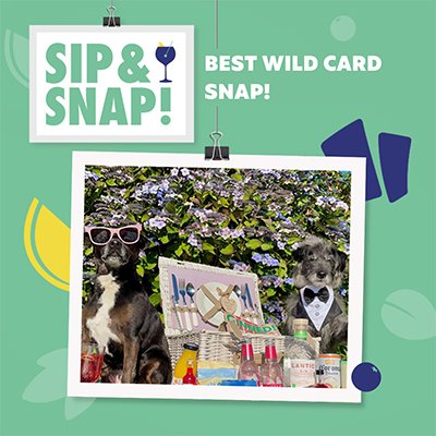 BEST WILD CARD SNAP!