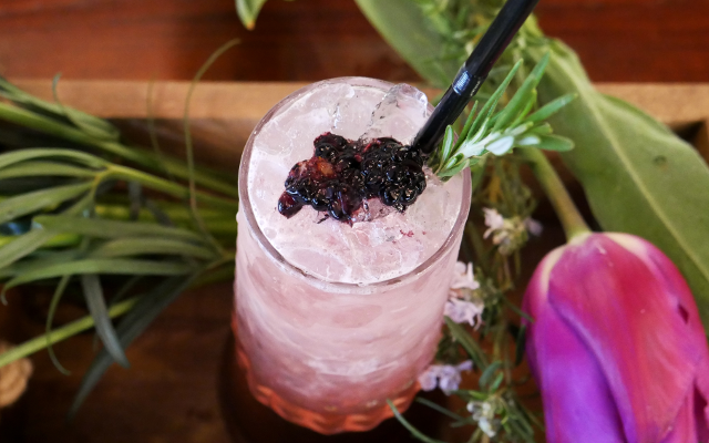 gin  cocktail bumble bramble