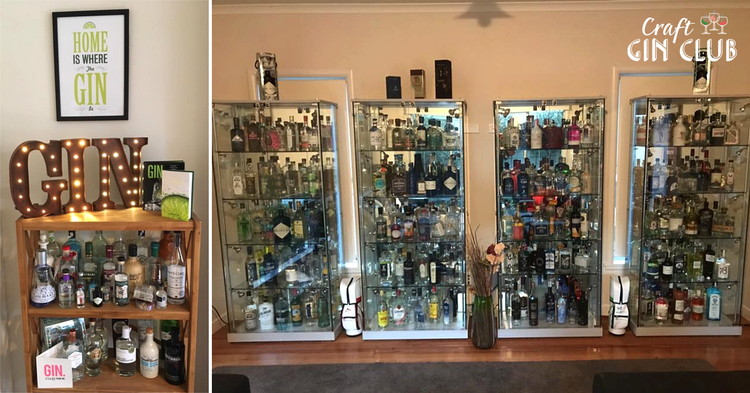 Huge Gin Bottle Collections
