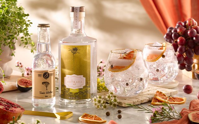 Craft Gin Club's June 2022 Perfect G&T