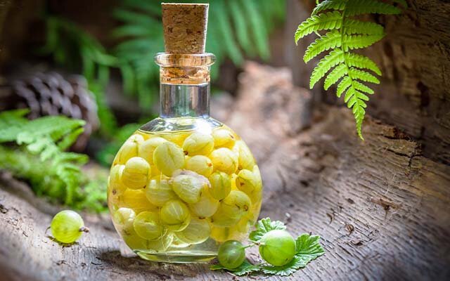 homemade+gooseberry+gin.jpg