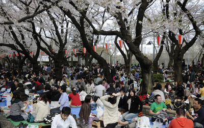 japan