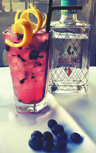 sibling gin felix elixir