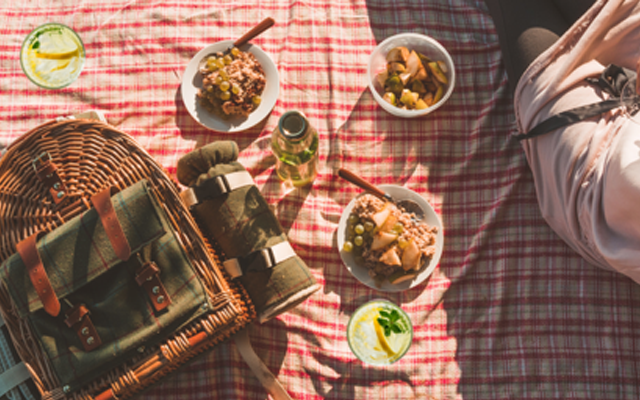 Picnic rug with gin and tonics and picnic food
