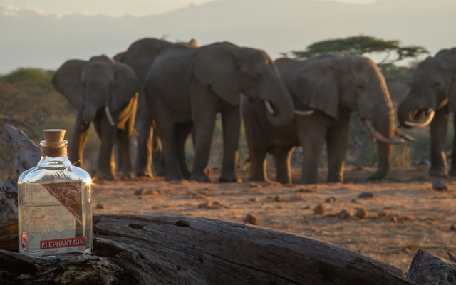 elephant+gin+afternoon+tea.png